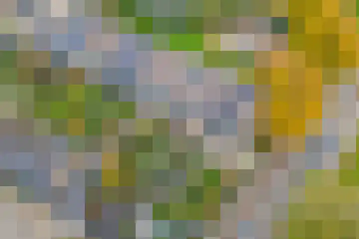 Talingsingel 36 Velp thumbnail 54