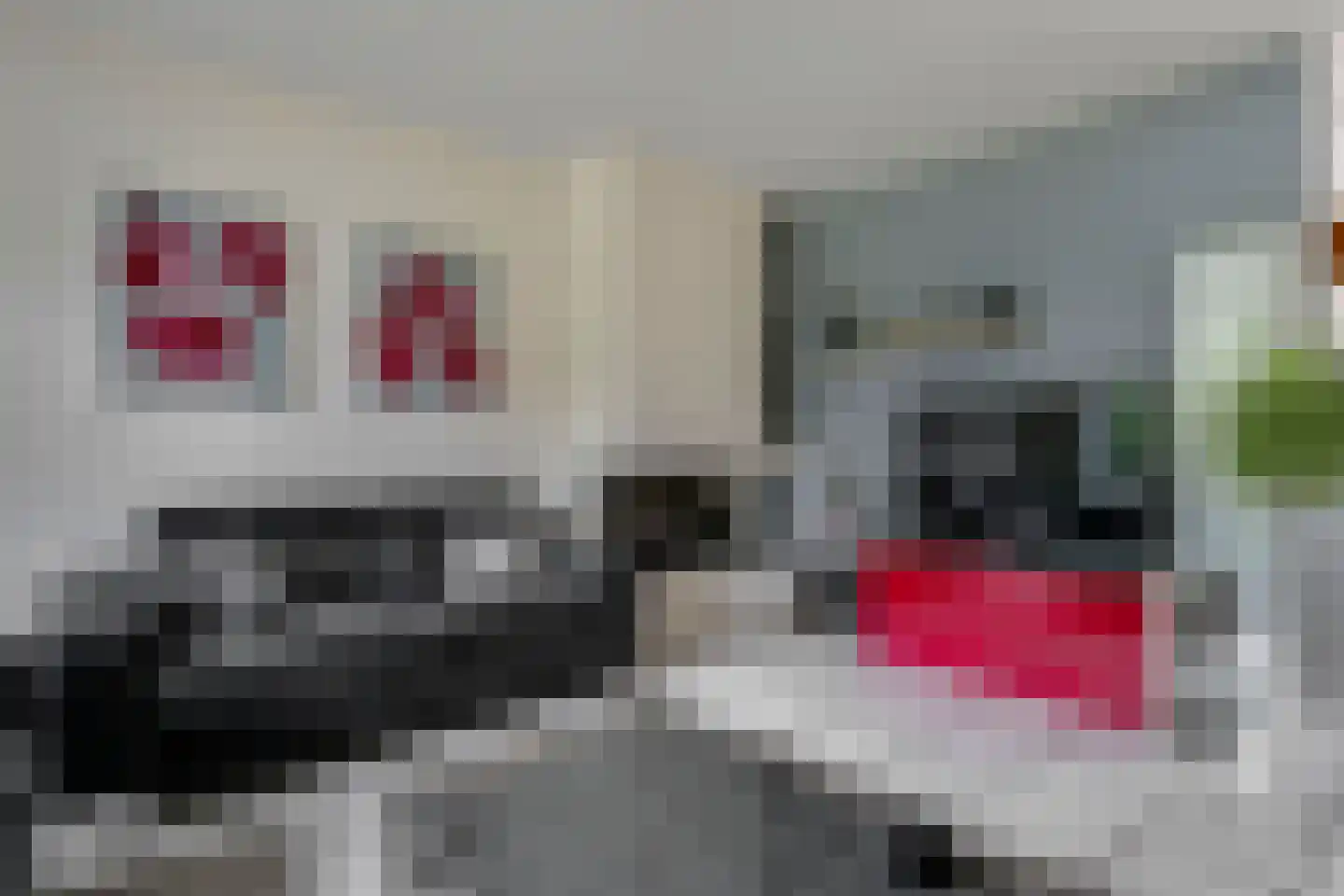 Talingsingel 38 Velp thumbnail 16