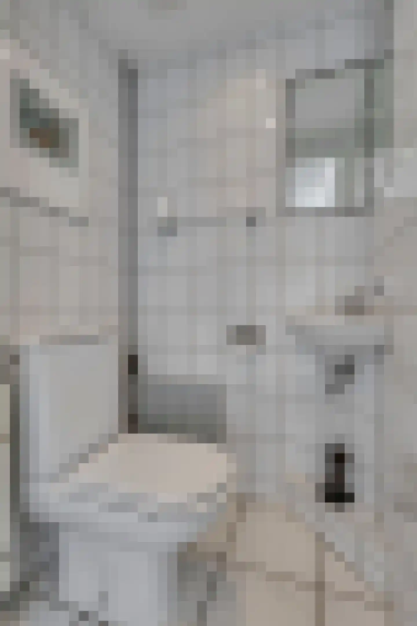 Talingsingel 38 Velp thumbnail 21