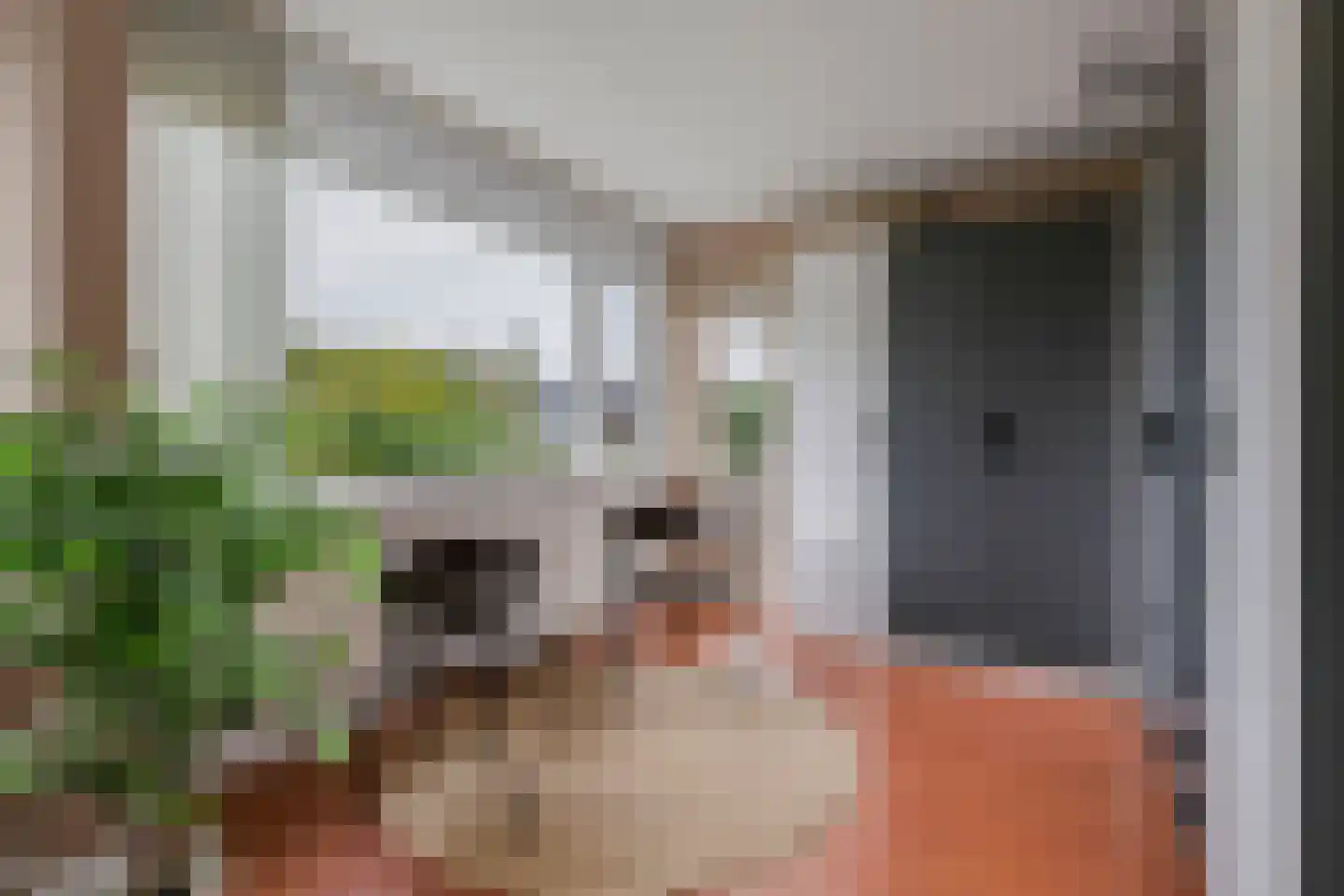 Talingsingel 38 Velp thumbnail 26