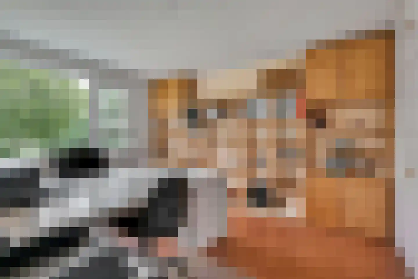 Talingsingel 38 Velp thumbnail 30