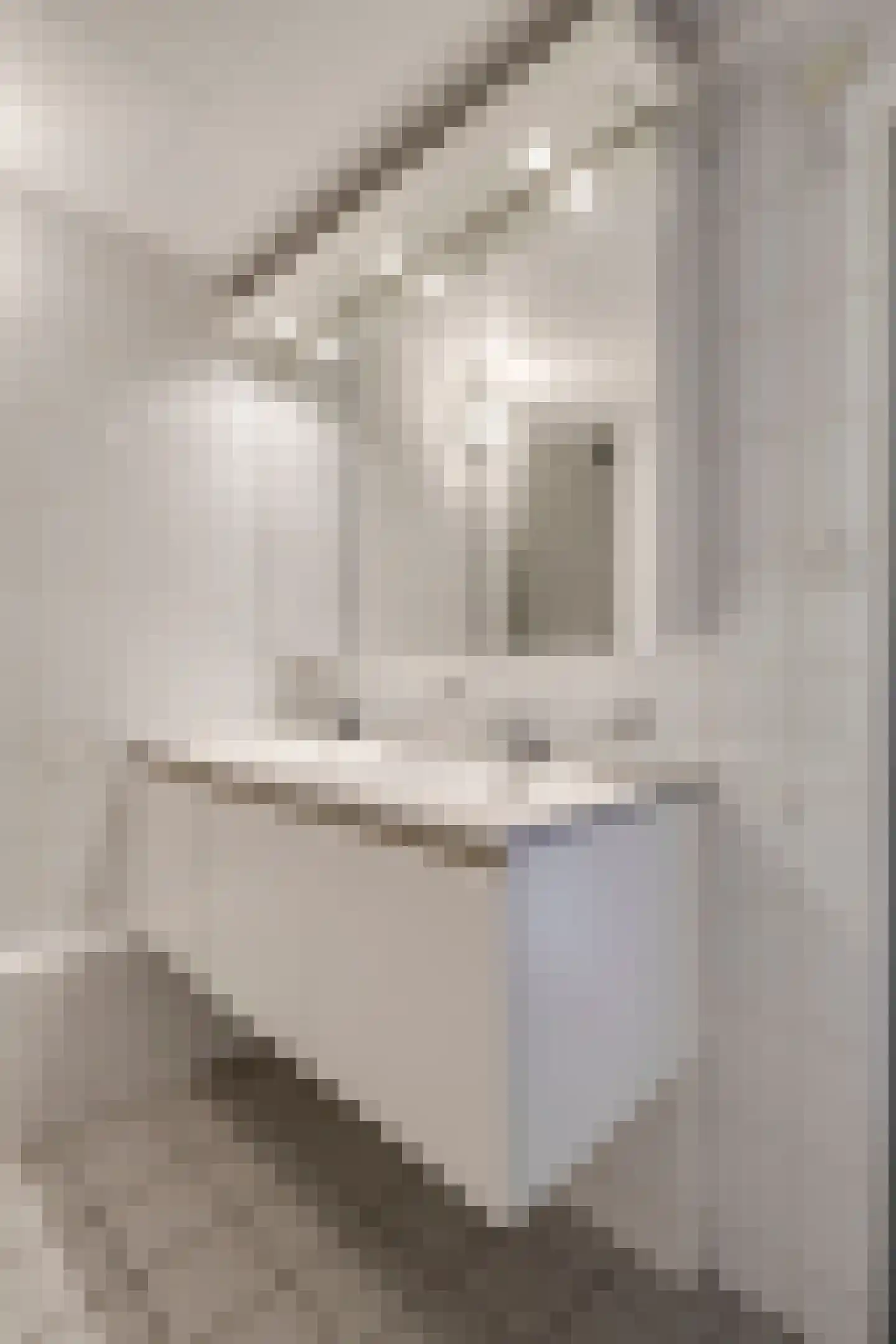 Talingsingel 38 Velp thumbnail 34