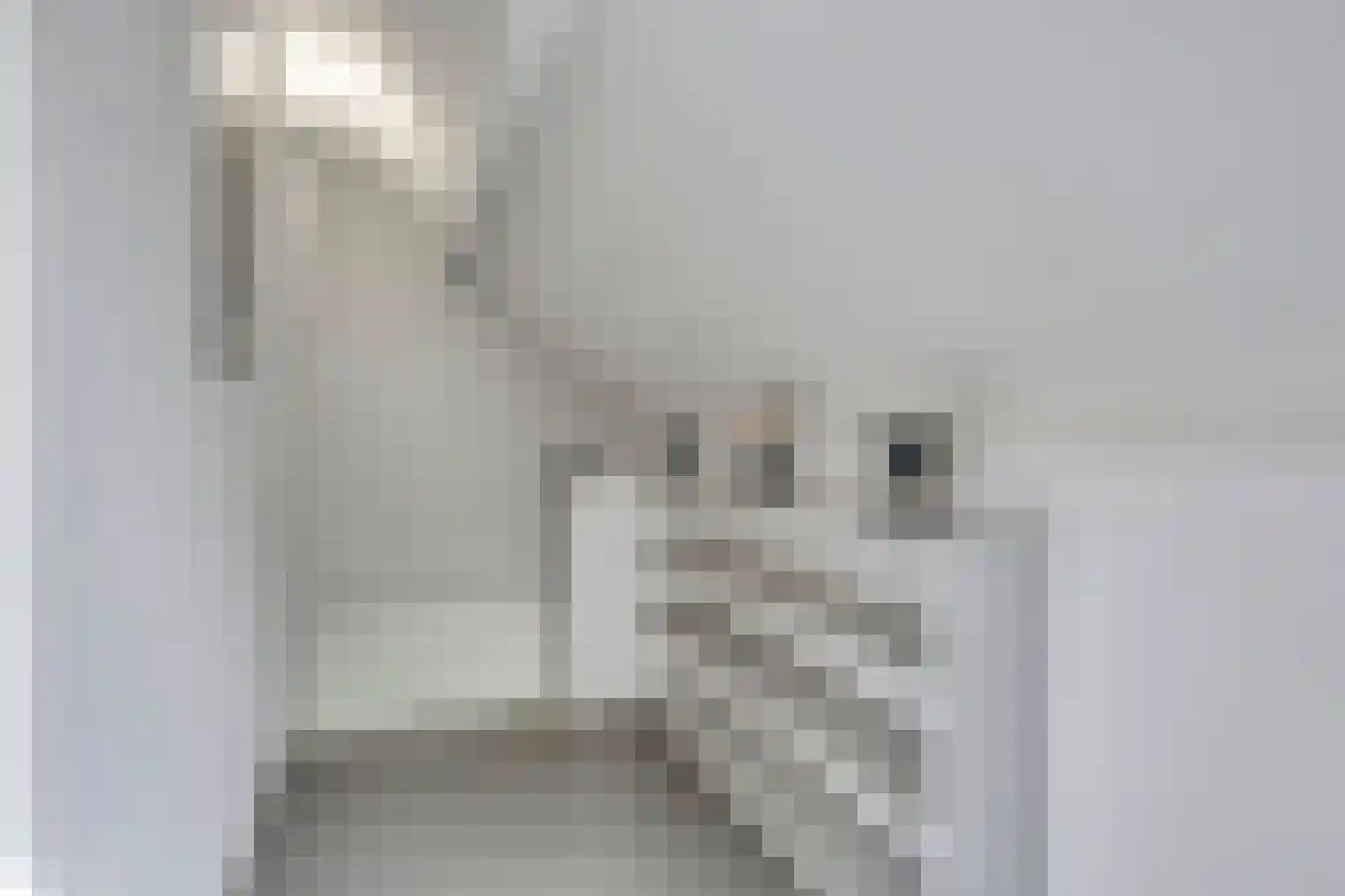 Talingsingel 38 Velp thumbnail 37