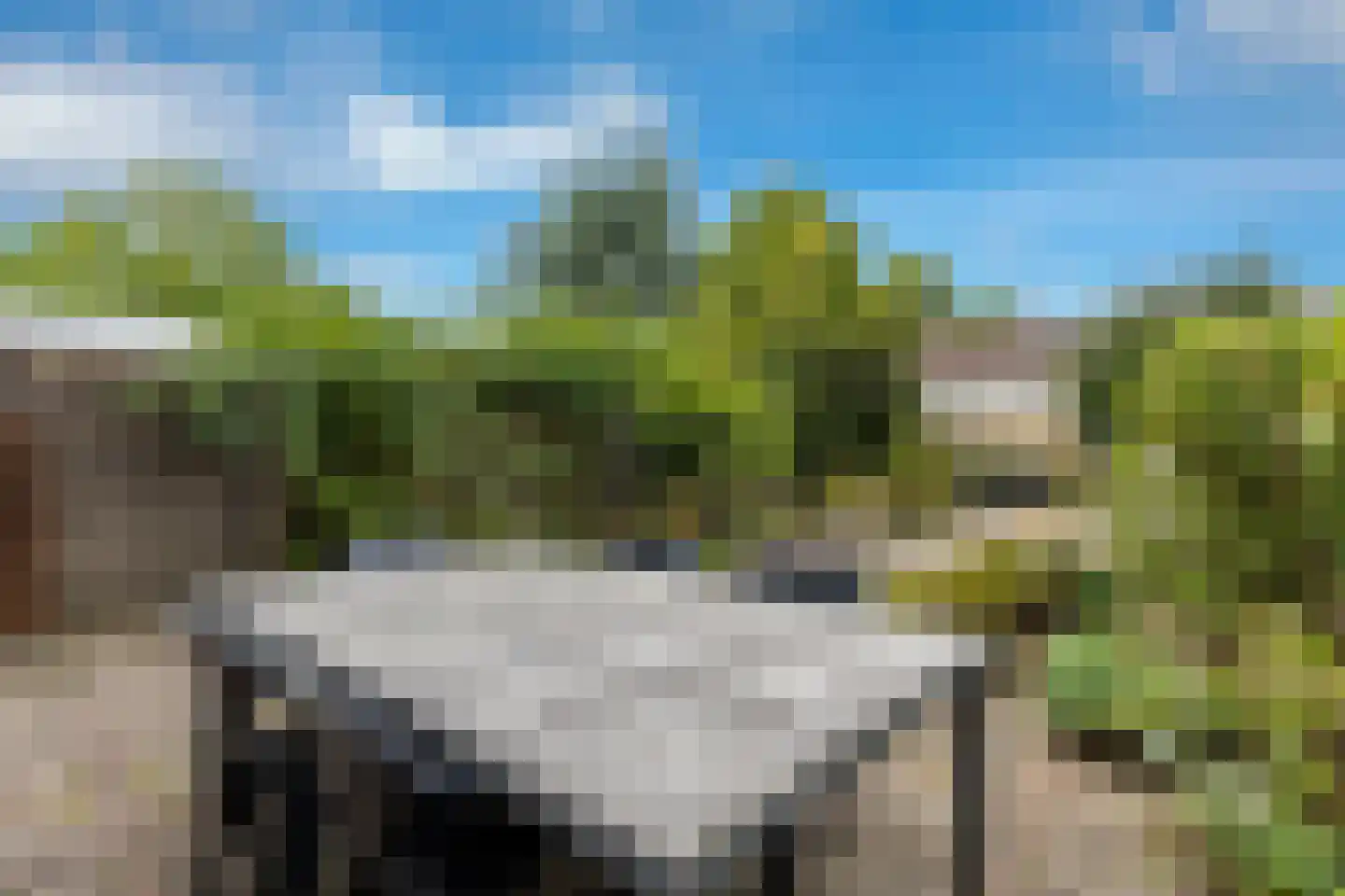 Talingsingel 38 Velp thumbnail 51