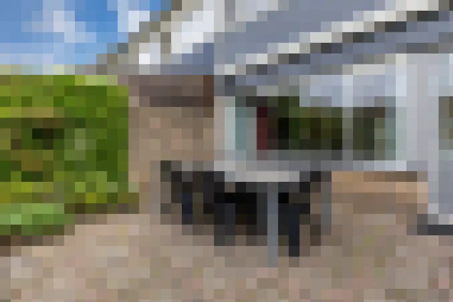 Talingsingel 38 Velp thumbnail 57