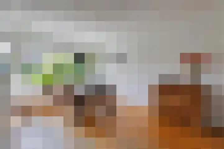 Talingsingel 60 Velp thumbnail 12