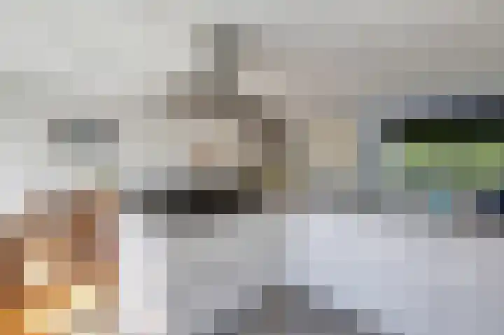Talingsingel 60 Velp thumbnail 14