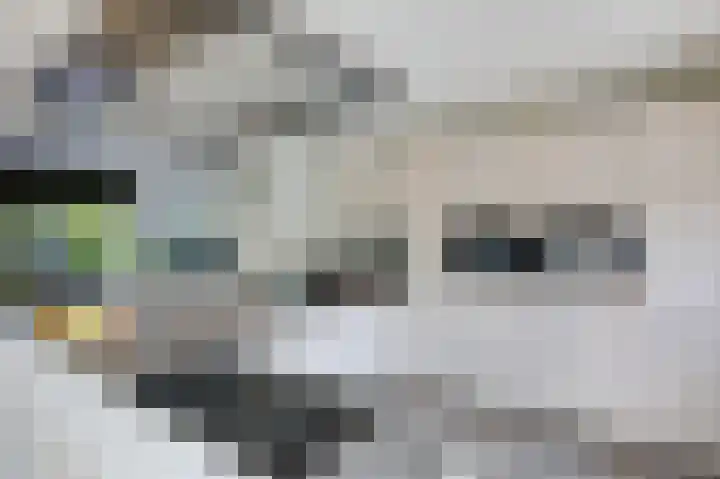 Talingsingel 60 Velp thumbnail 15