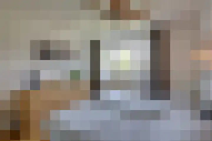 Talingsingel 60 Velp thumbnail 21