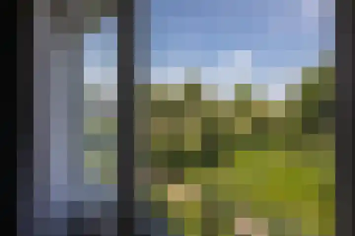 Talingsingel 60 Velp thumbnail 23