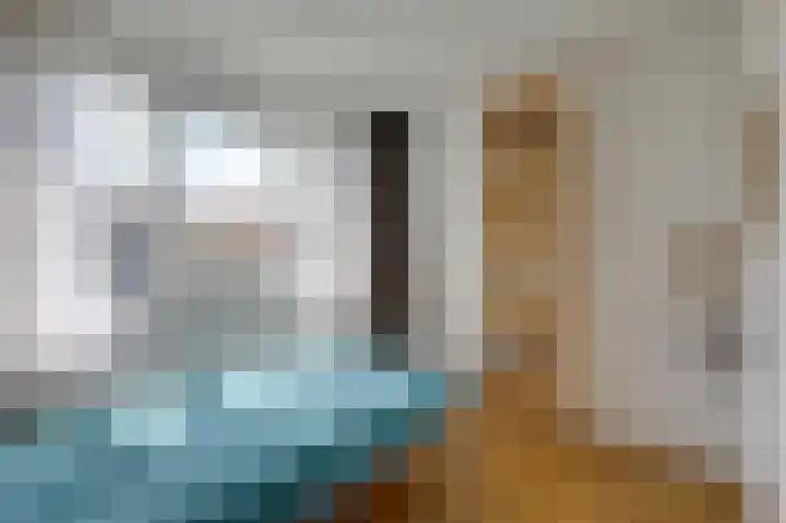Talingsingel 60 Velp thumbnail 24