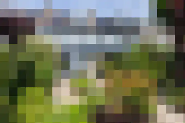 Talingsingel 60 Velp thumbnail 33