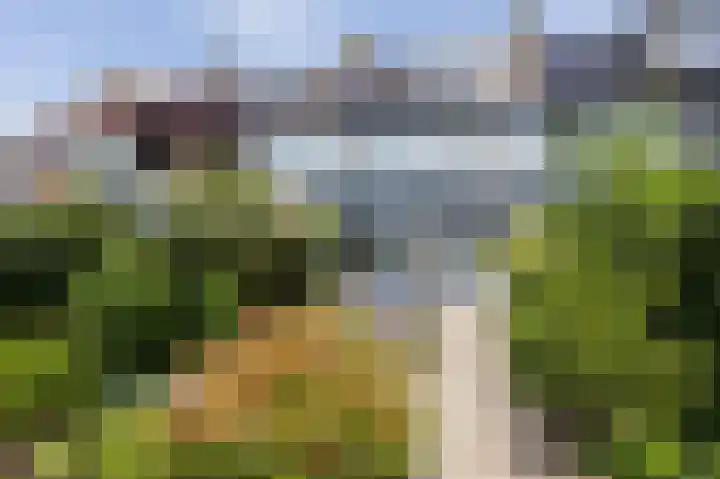 Talingsingel 60 Velp thumbnail 34