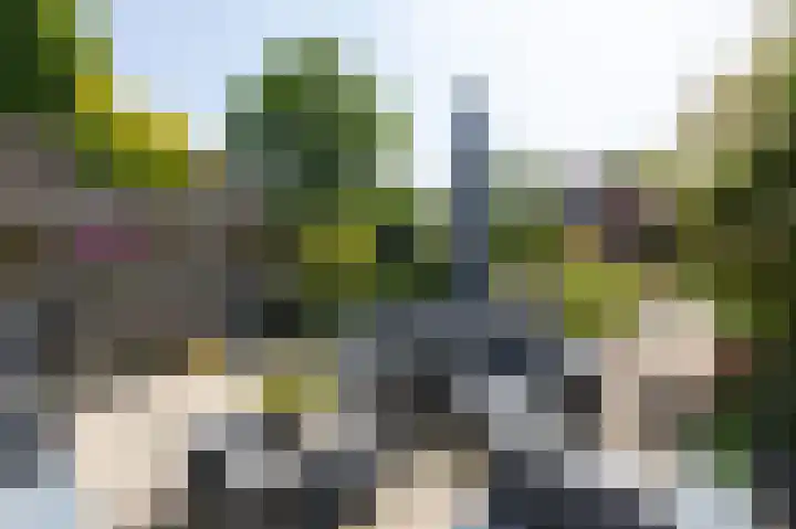 Talingsingel 60 Velp thumbnail 35