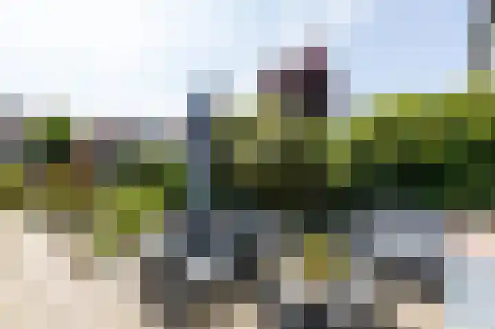 Talingsingel 60 Velp thumbnail 36
