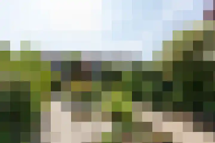 Talingsingel 60 Velp thumbnail 37
