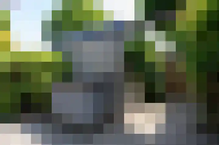 Talingsingel 60 Velp thumbnail 38