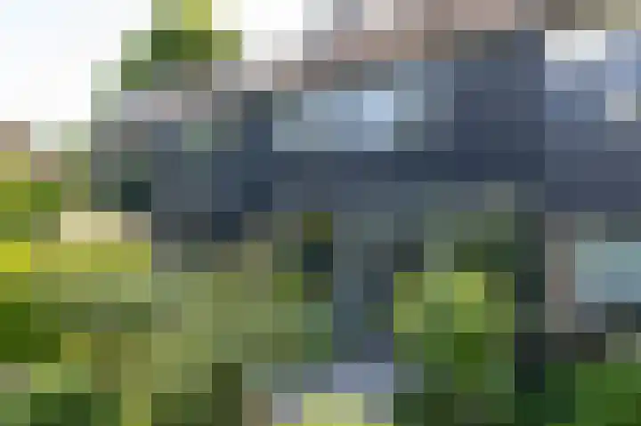 Talingsingel 60 Velp thumbnail 39