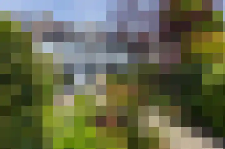 Talingsingel 60 Velp thumbnail 4