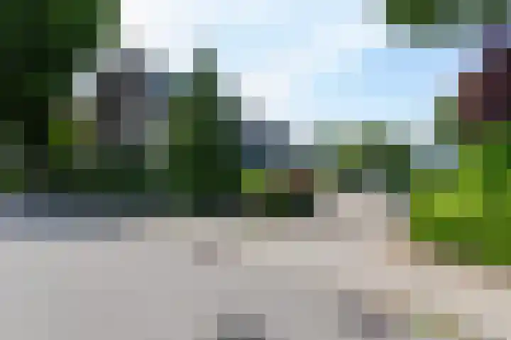 Talingsingel 60 Velp thumbnail 41