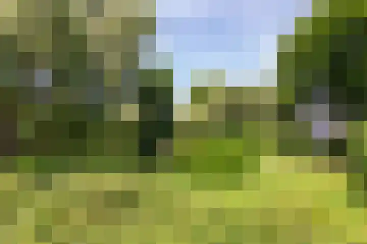 Talingsingel 60 Velp thumbnail 44