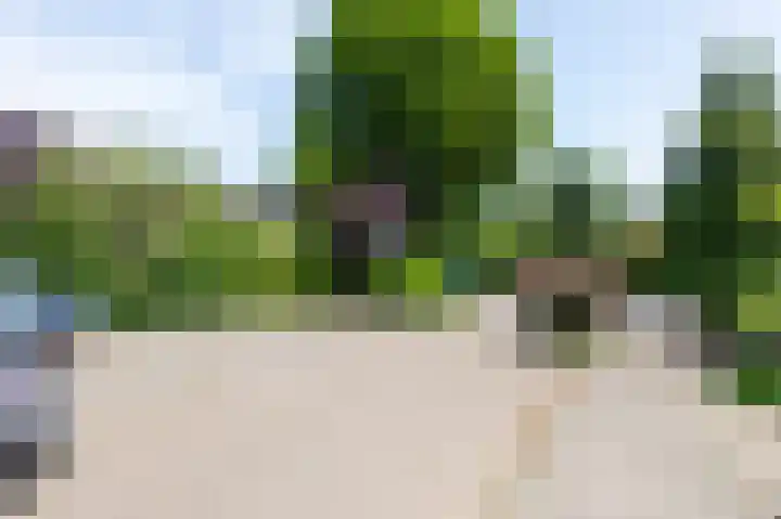 Talingsingel 60 Velp thumbnail 46