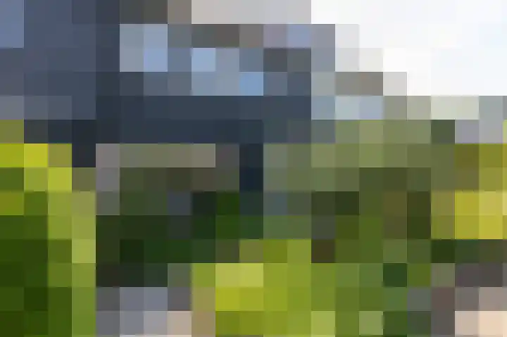 Talingsingel 60 Velp thumbnail 5