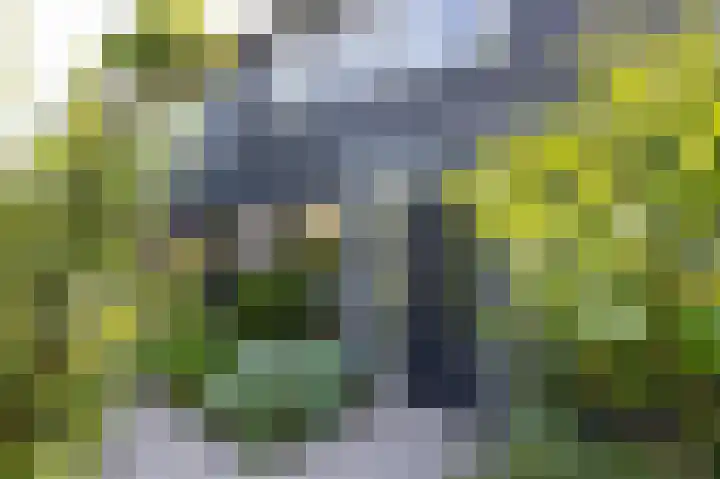 Talingsingel 60 Velp thumbnail 6