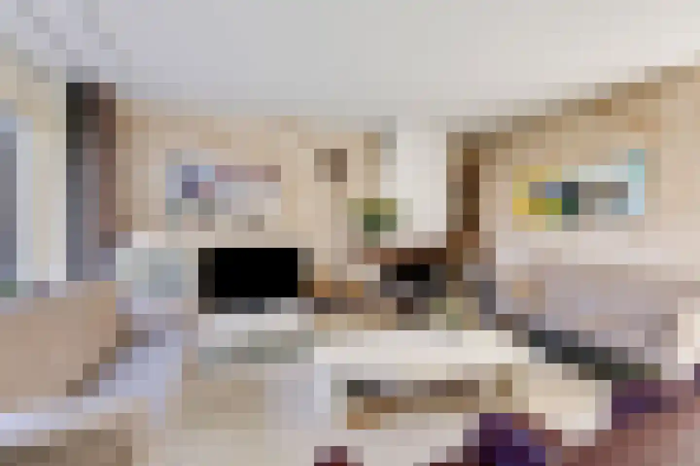 Talingsingel 62 Velp thumbnail 10
