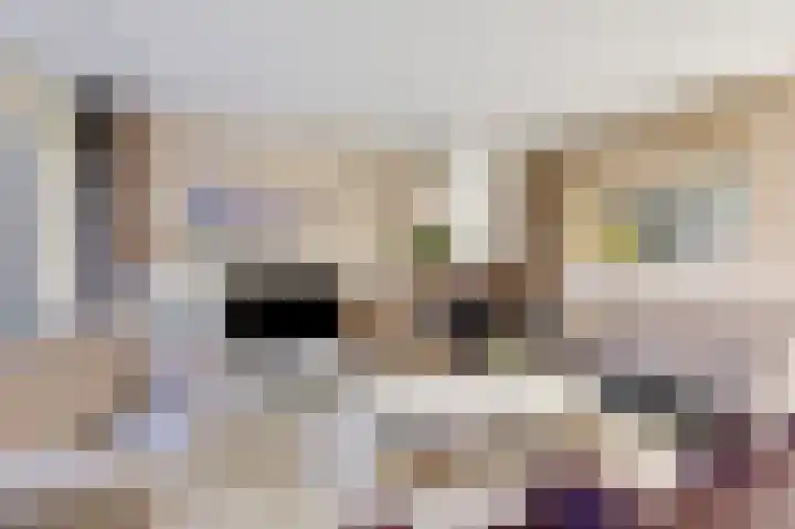 Talingsingel 62 Velp thumbnail 10