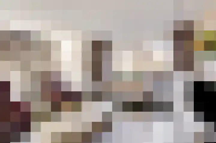 Talingsingel 62 Velp thumbnail 11