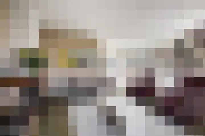 Talingsingel 62 Velp thumbnail 12