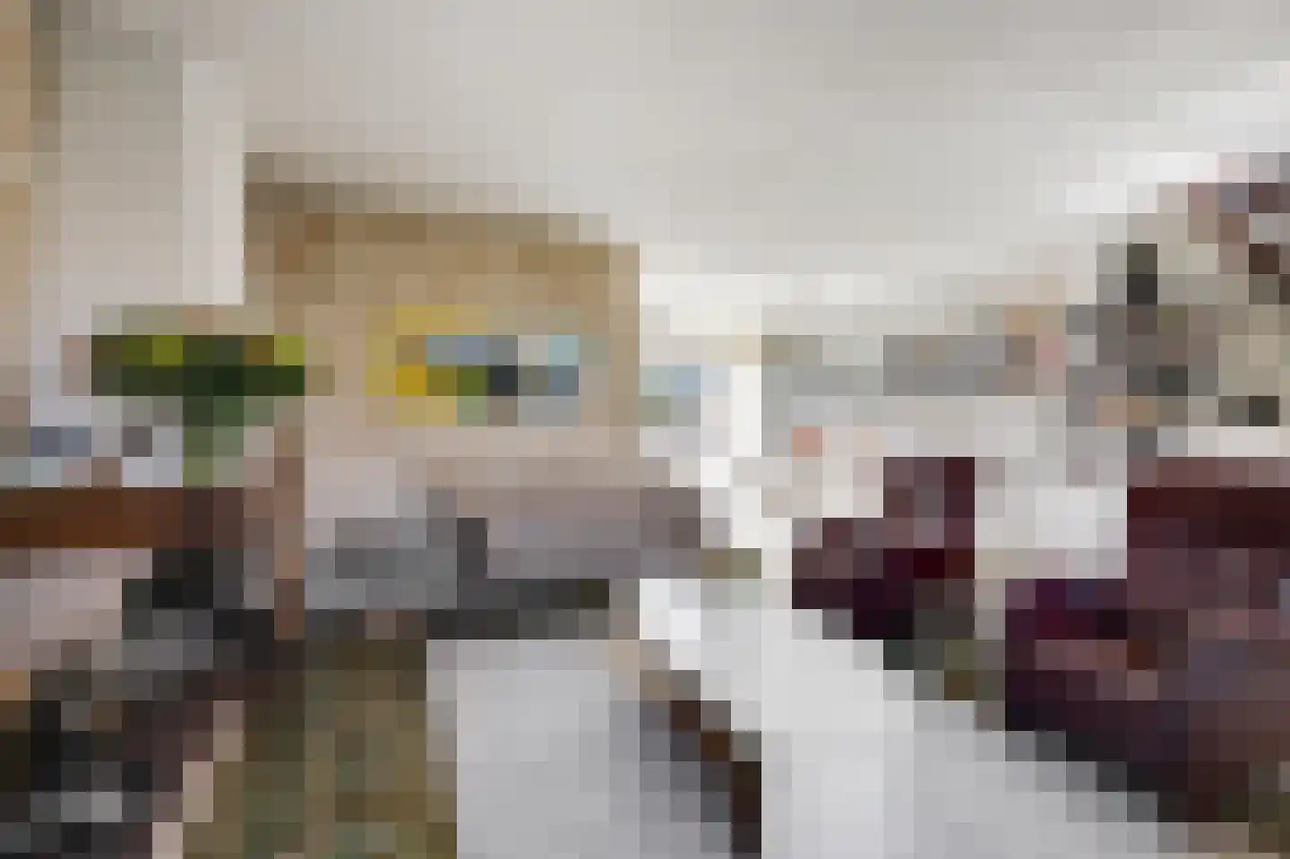 Talingsingel 62 Velp thumbnail 12