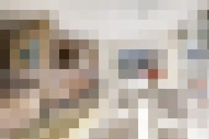 Talingsingel 62 Velp thumbnail 13