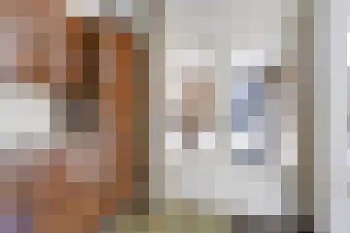 Talingsingel 62 Velp thumbnail 15