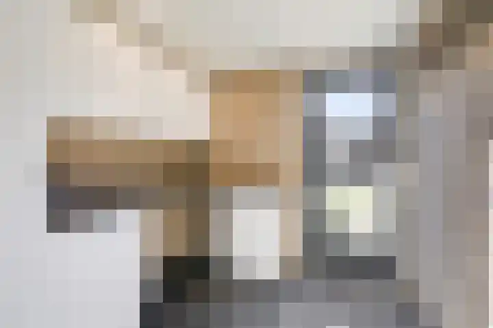 Talingsingel 62 Velp thumbnail 16