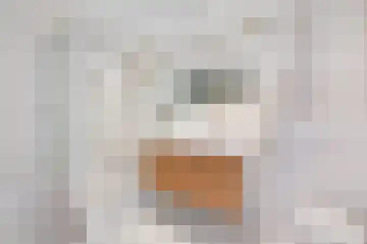 Talingsingel 62 Velp thumbnail 21