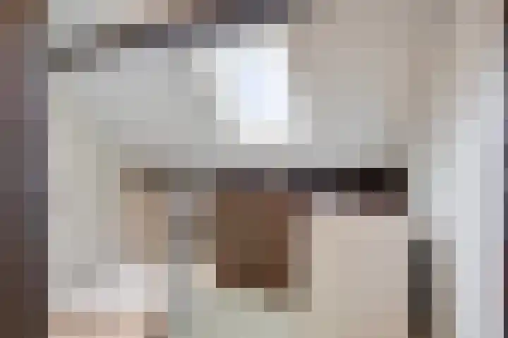 Talingsingel 62 Velp thumbnail 22