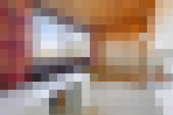Talingsingel 62 Velp thumbnail 25