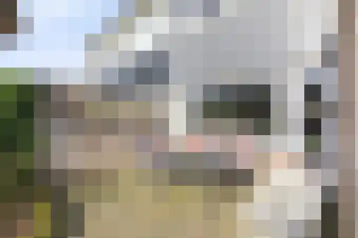 Talingsingel 62 Velp thumbnail 26
