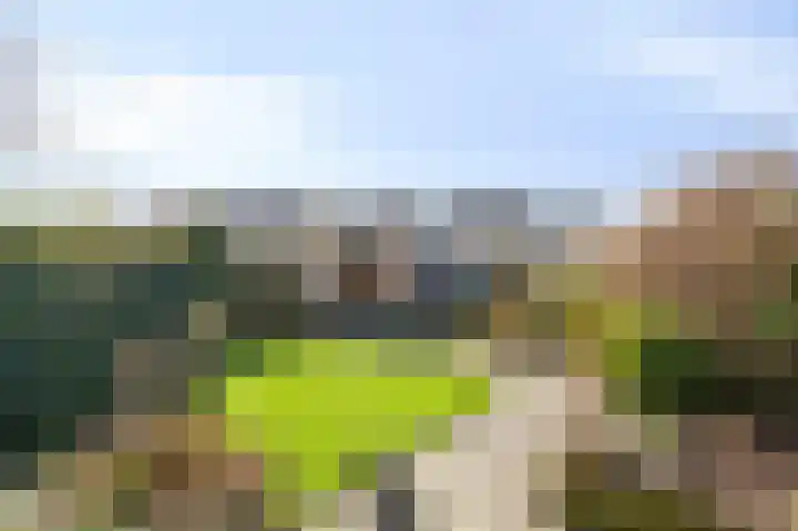 Talingsingel 62 Velp thumbnail 27