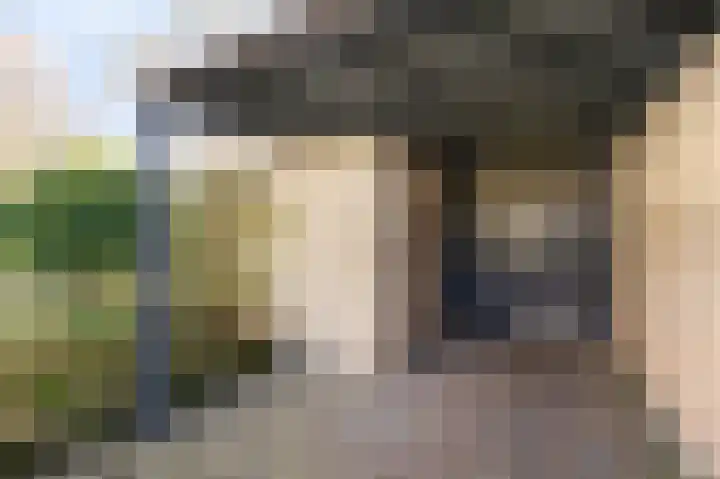 Talingsingel 62 Velp thumbnail 29