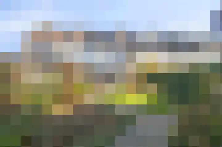 Talingsingel 62 Velp thumbnail 30