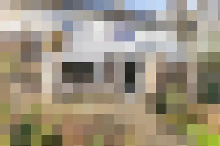 Talingsingel 62 Velp thumbnail 31