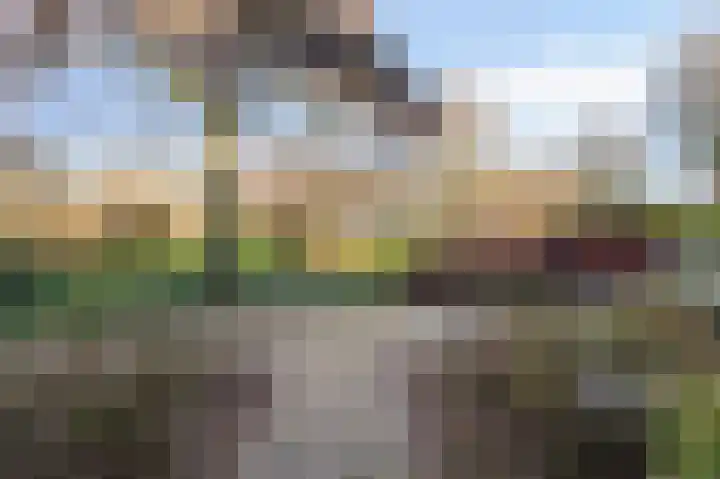 Talingsingel 62 Velp thumbnail 34
