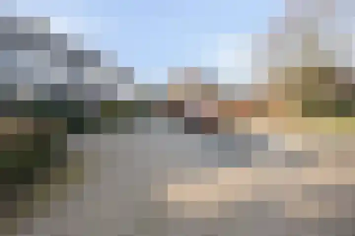 Talingsingel 62 Velp thumbnail 35