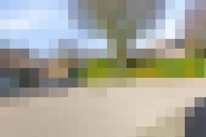 Talingsingel 62 Velp thumbnail 36