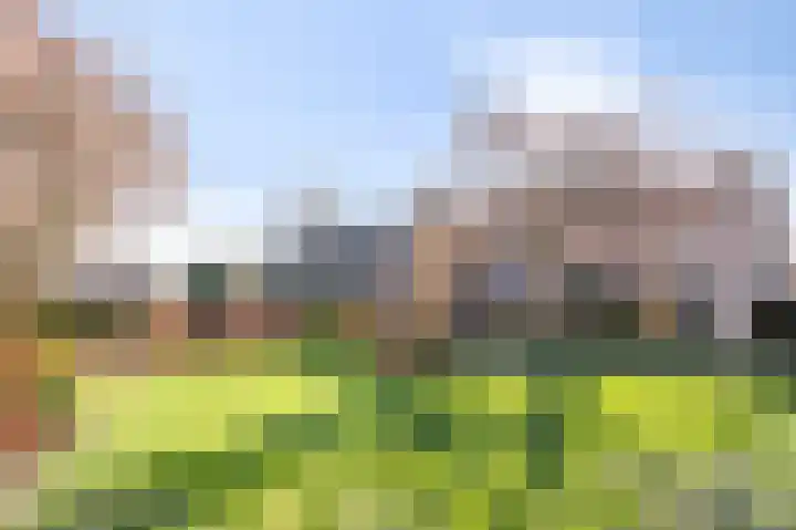 Talingsingel 62 Velp thumbnail 4