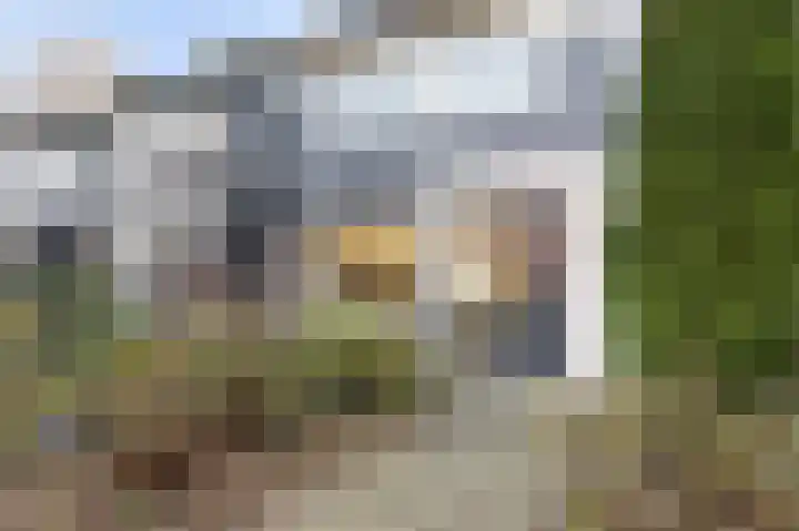 Talingsingel 62 Velp thumbnail 6