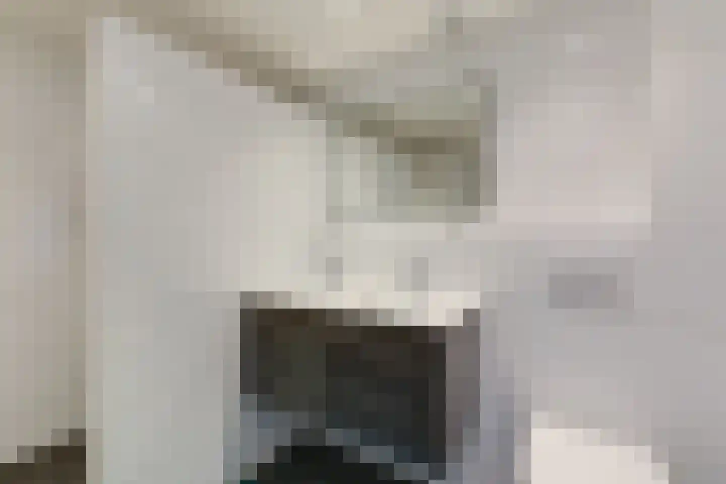 Talingsingel 72 Velp thumbnail 18